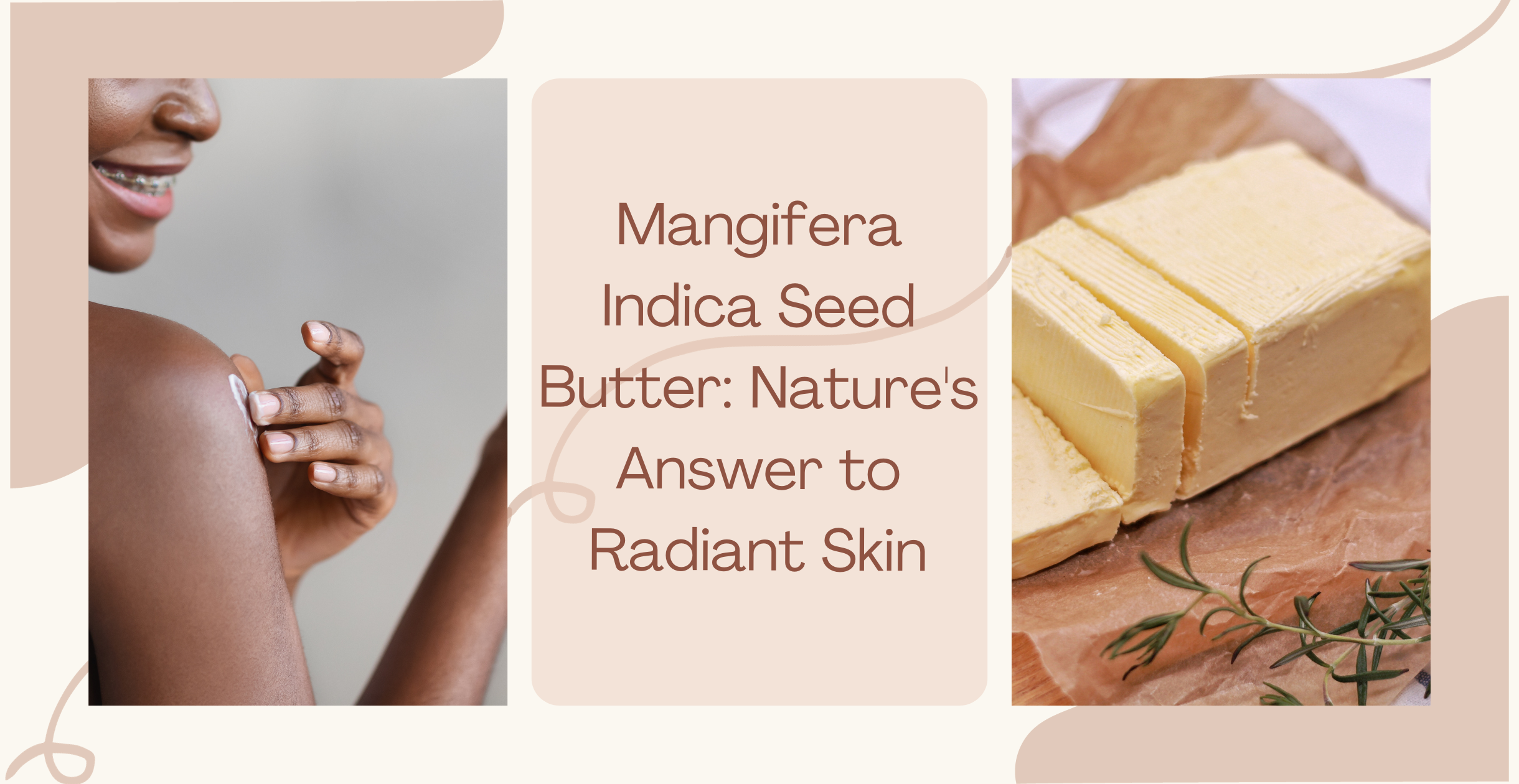 Mangifera Indica Seed Butter: Nature's Answer to Radiant Skin