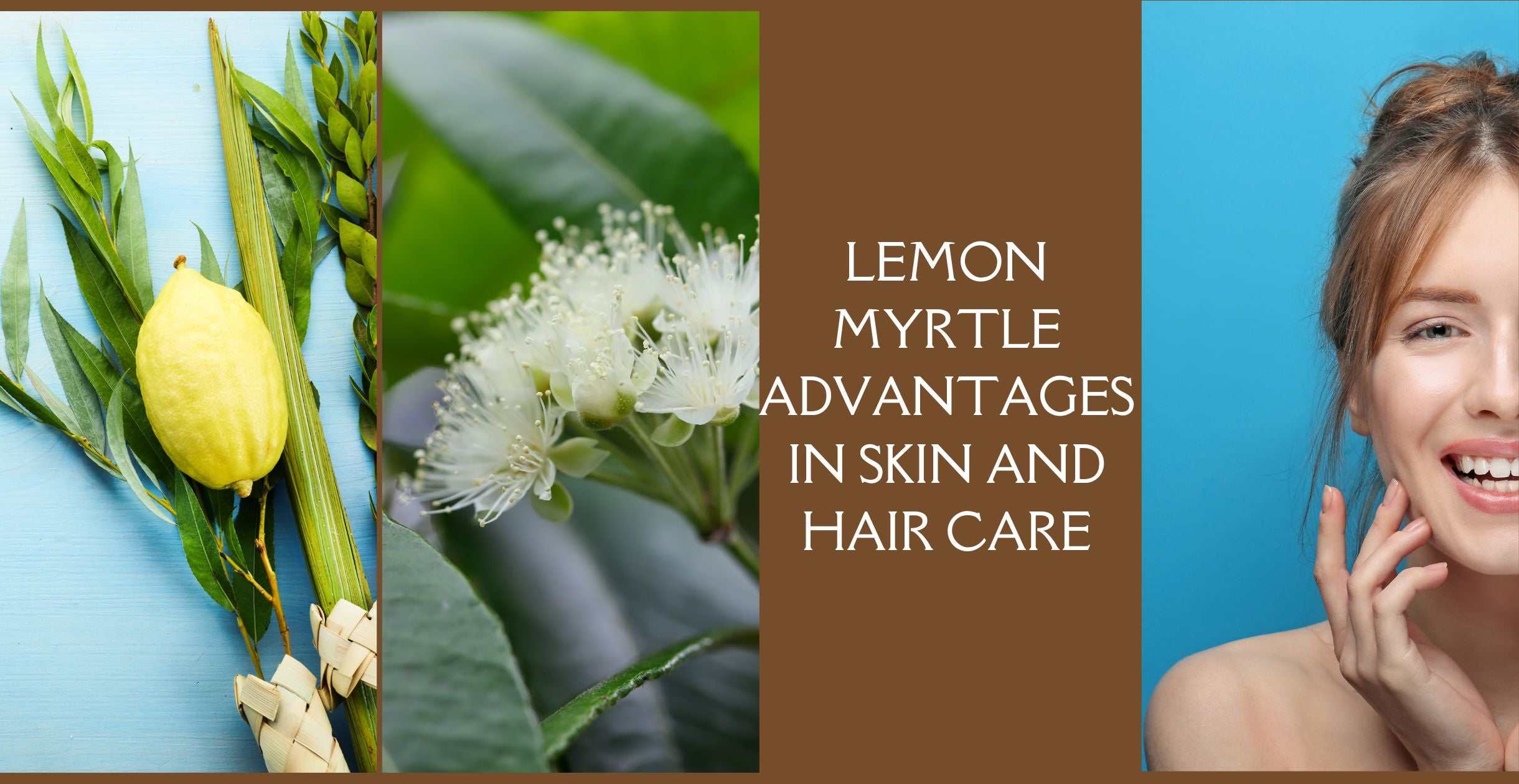 Lemon Myrtle Advantages in Skin and Hair Care