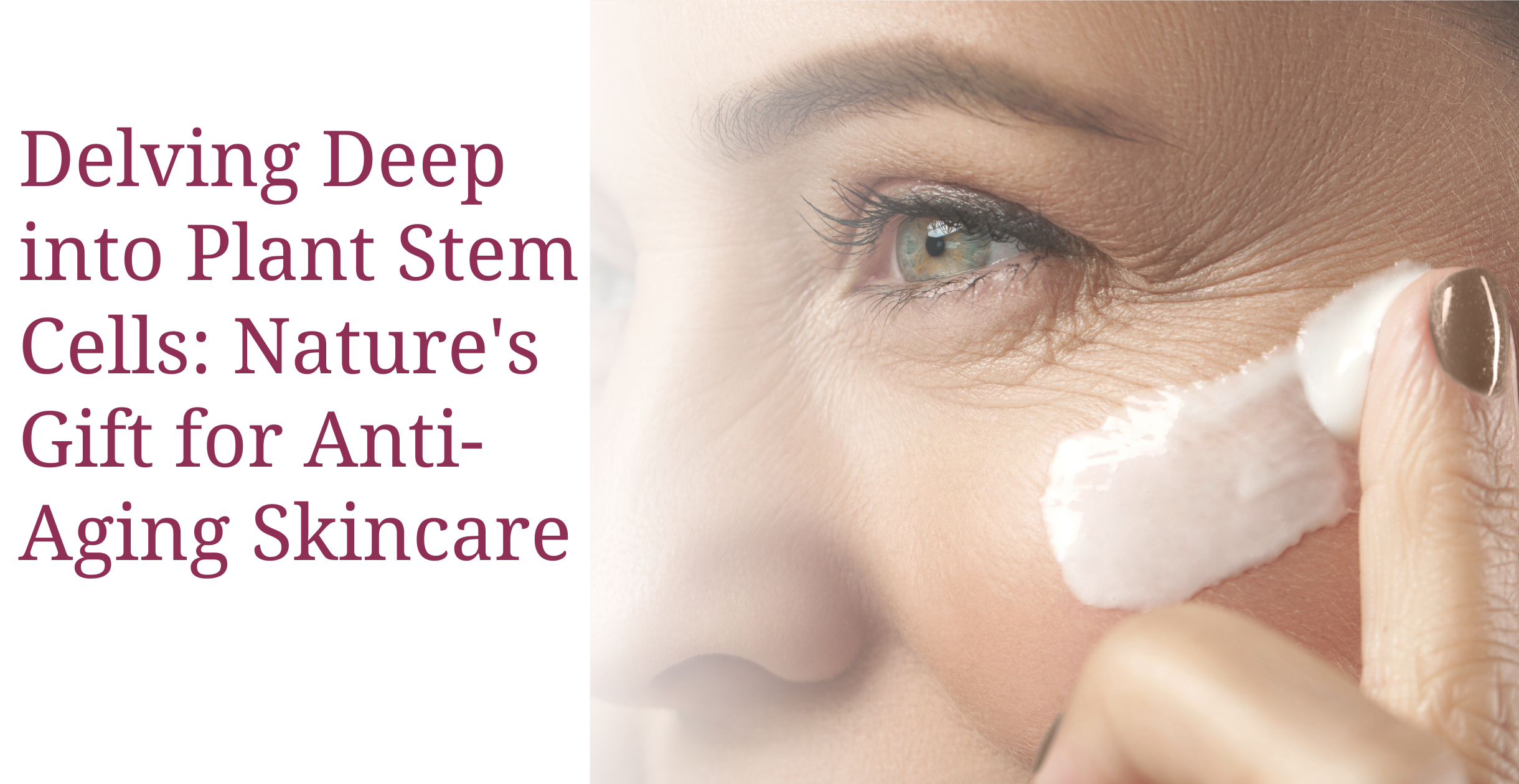 Delving Deep into Plant Stem Cells: Nature's Gift for Anti-Aging Skincare