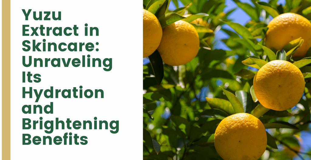 Lemon Fruit Extract (Citrus Limon): Skincare Explained