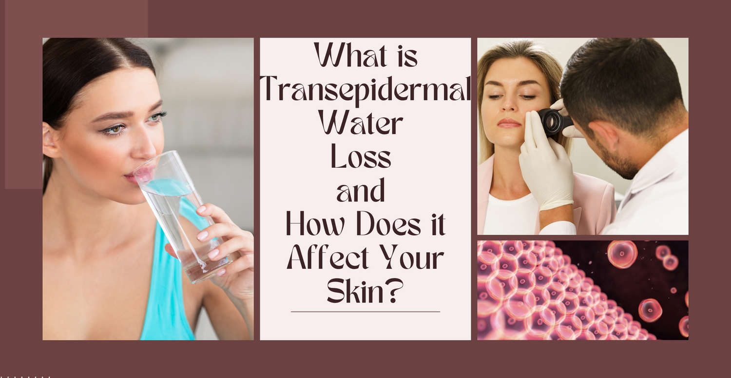 What is Transepidermal Water Loss and How Does it Affect Your Skin?