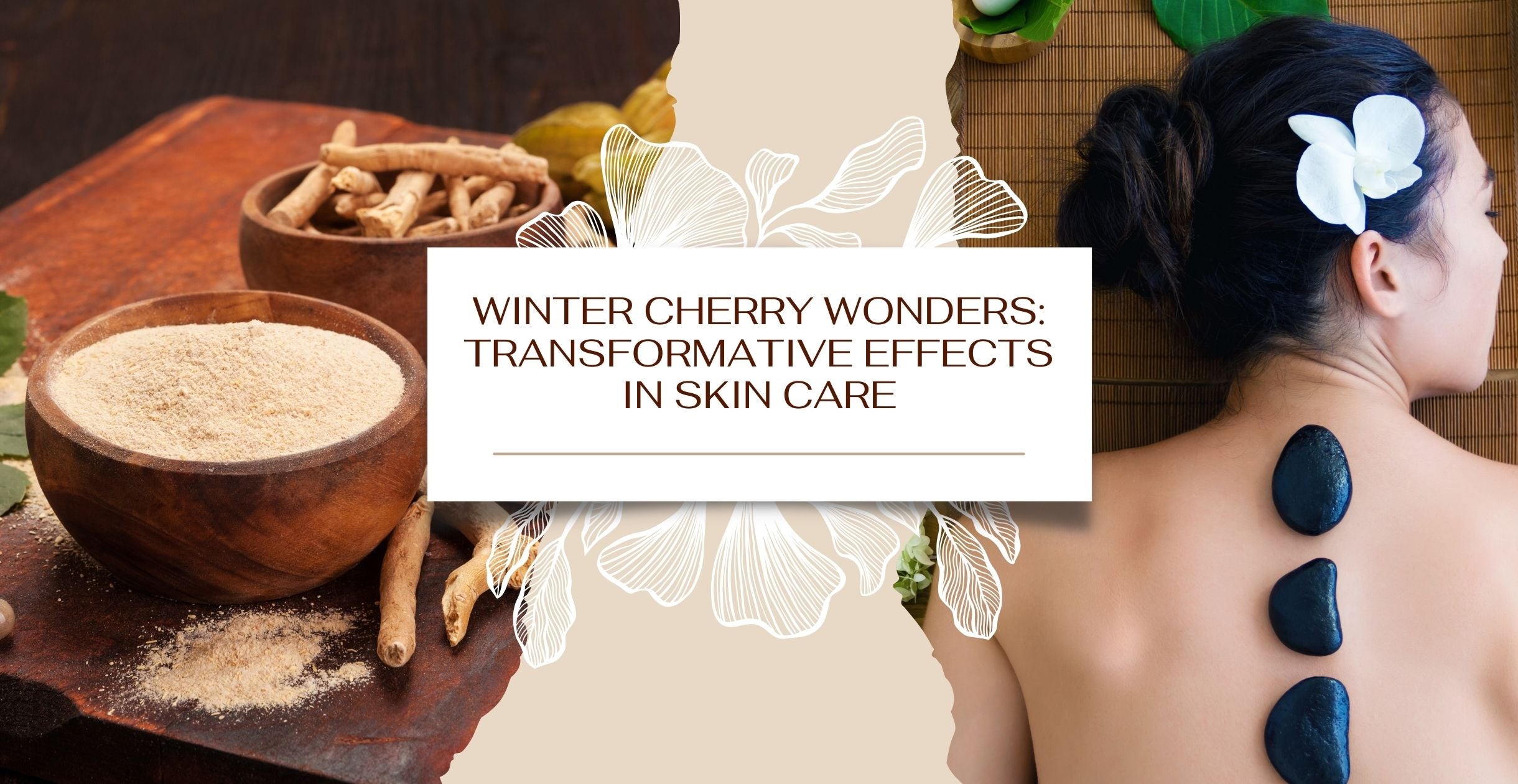 Winter Cherry Wonders: Transformative Effects in Skin Care