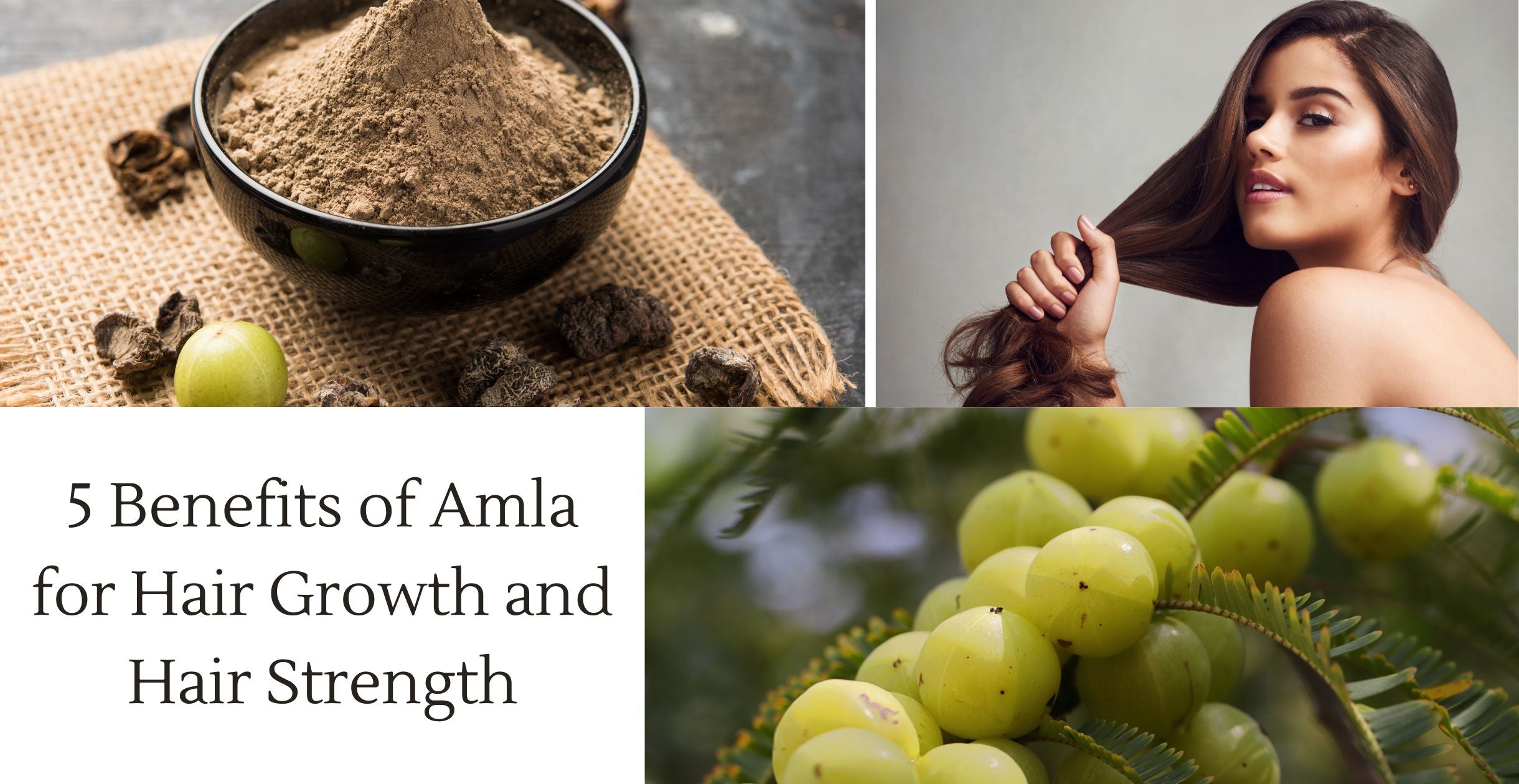 5 Benefits of Amla for Hair Growth and Hair Strength