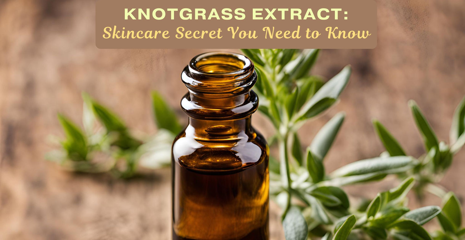  Knotgrass Extract: Skincare Secret You Need to Know
