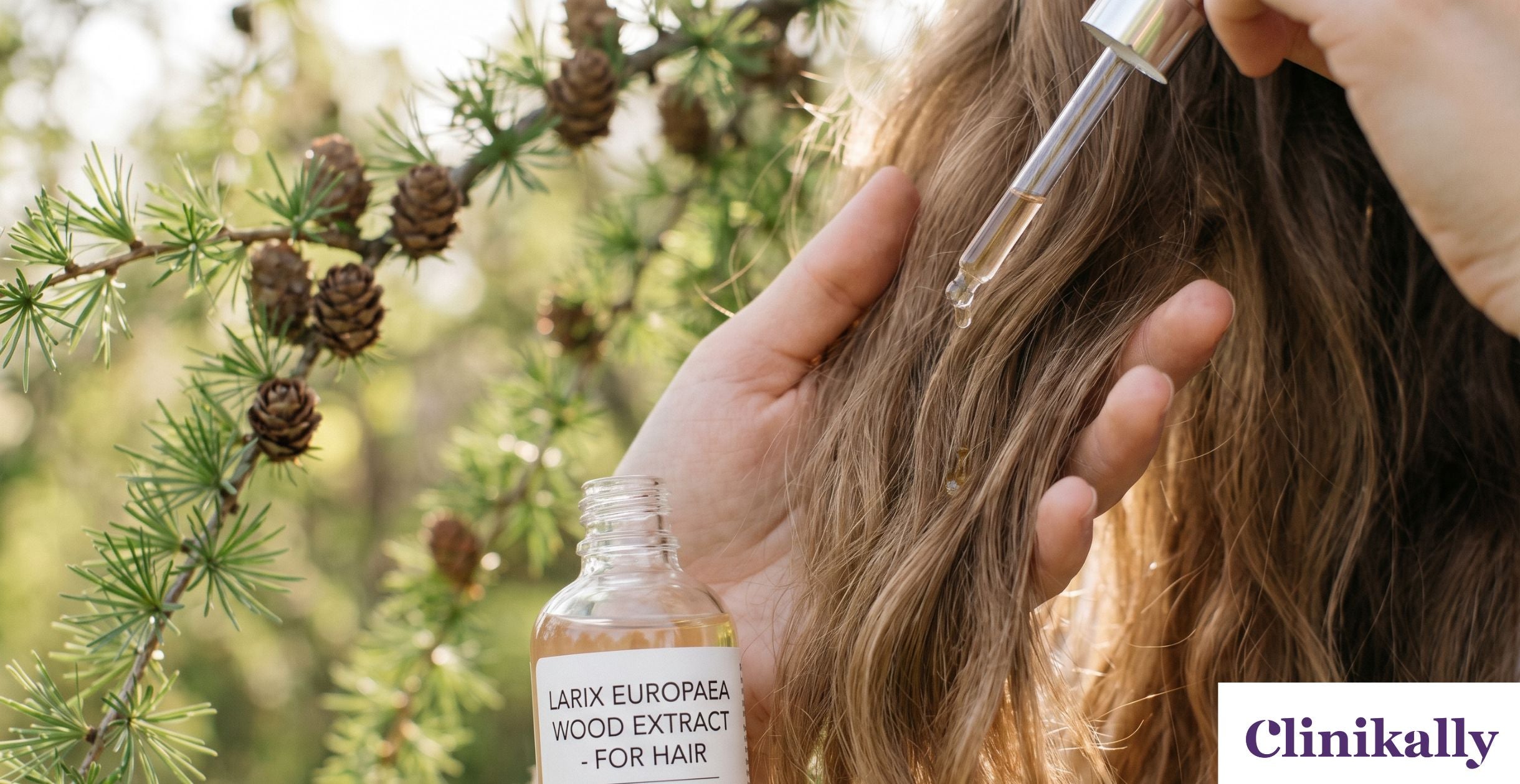 Applying Larix Europaea wood extract serum for stronger healthier hair