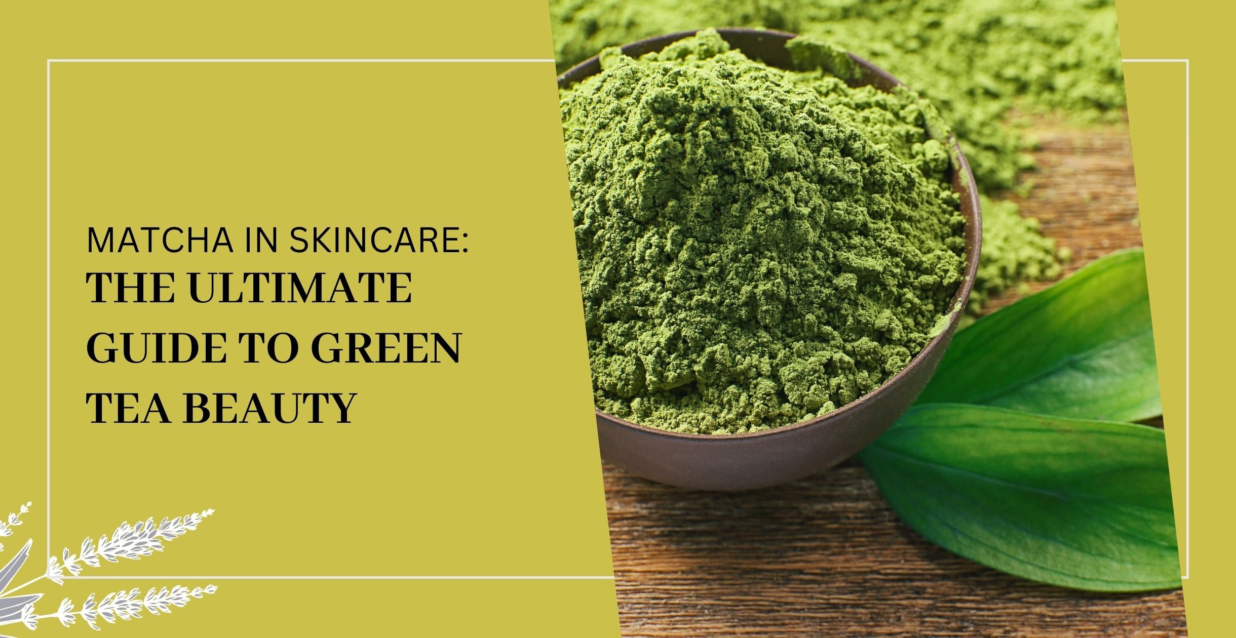 Matcha in Skincare: The Ultimate Guide to Green Tea Beauty