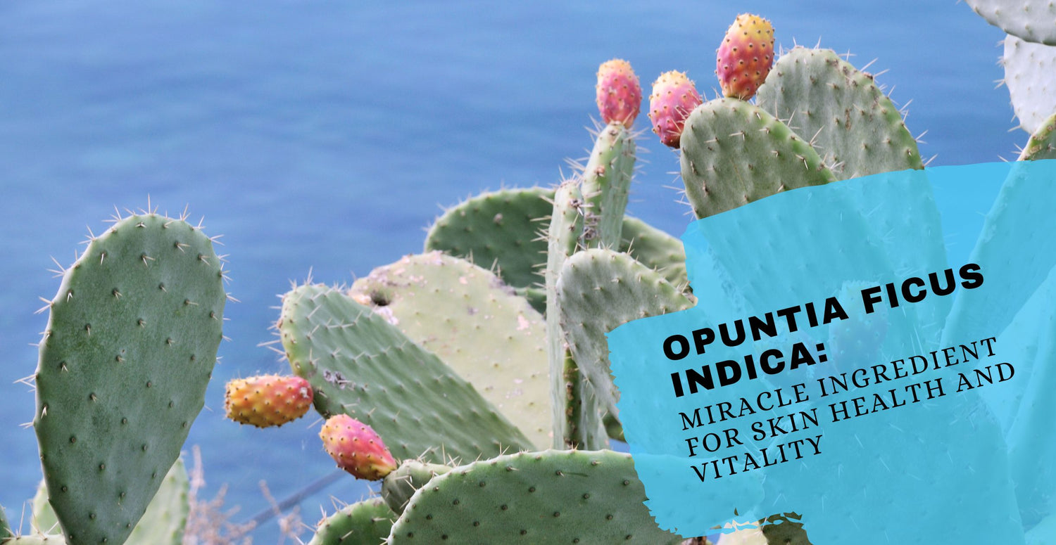 Opuntia Ficus Indica: Miracle Ingredient for Skin Health and Vitality