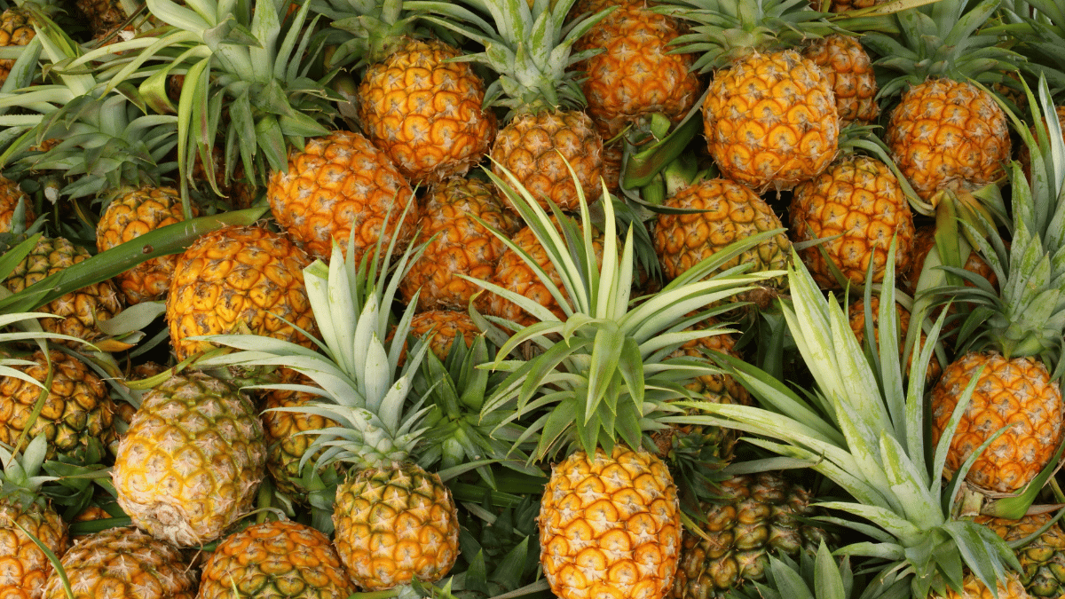 pineapple bromelain benefits