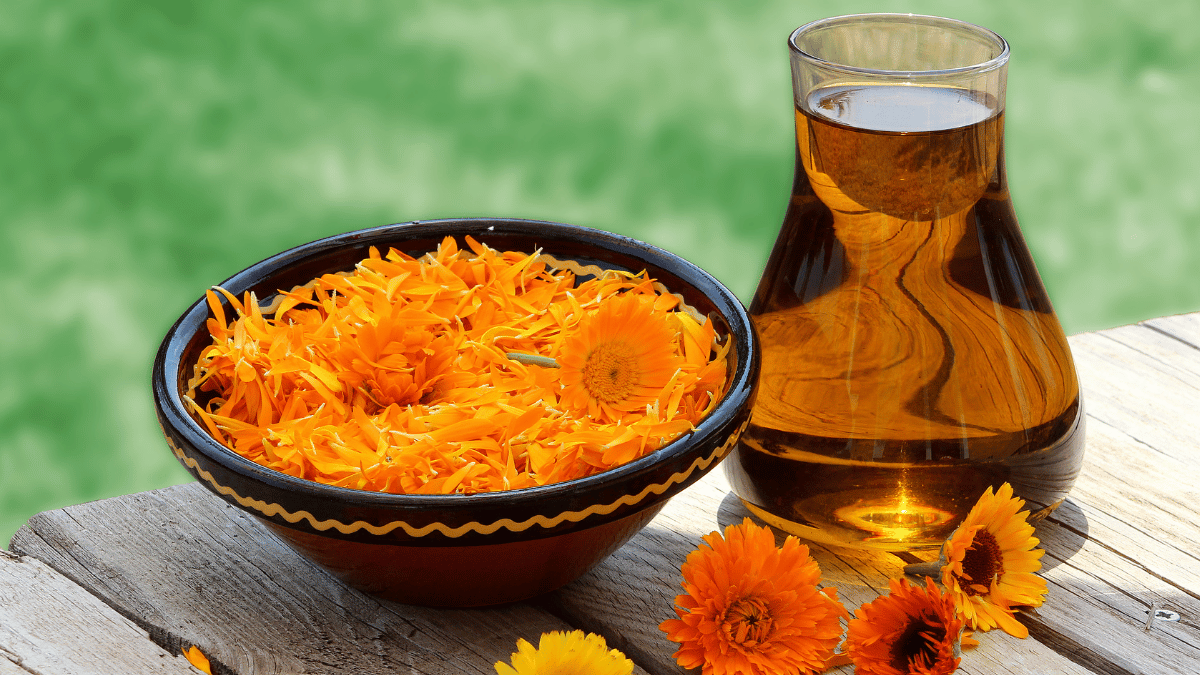 Benefits of Calendula for Skin 