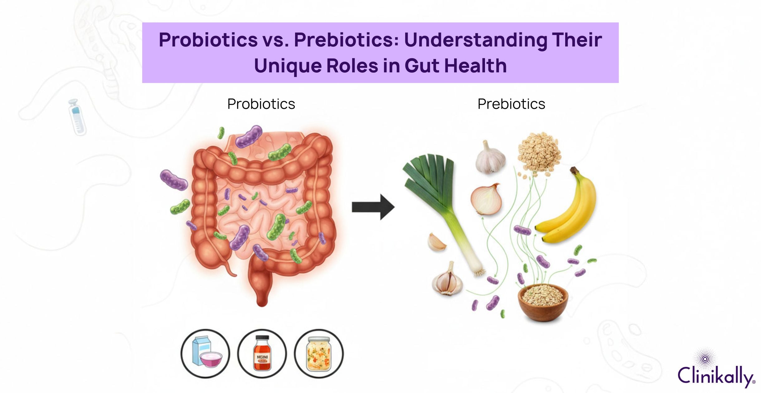 Probiotics vs. Prebiotics: Understanding Their Unique Roles in Gut Health