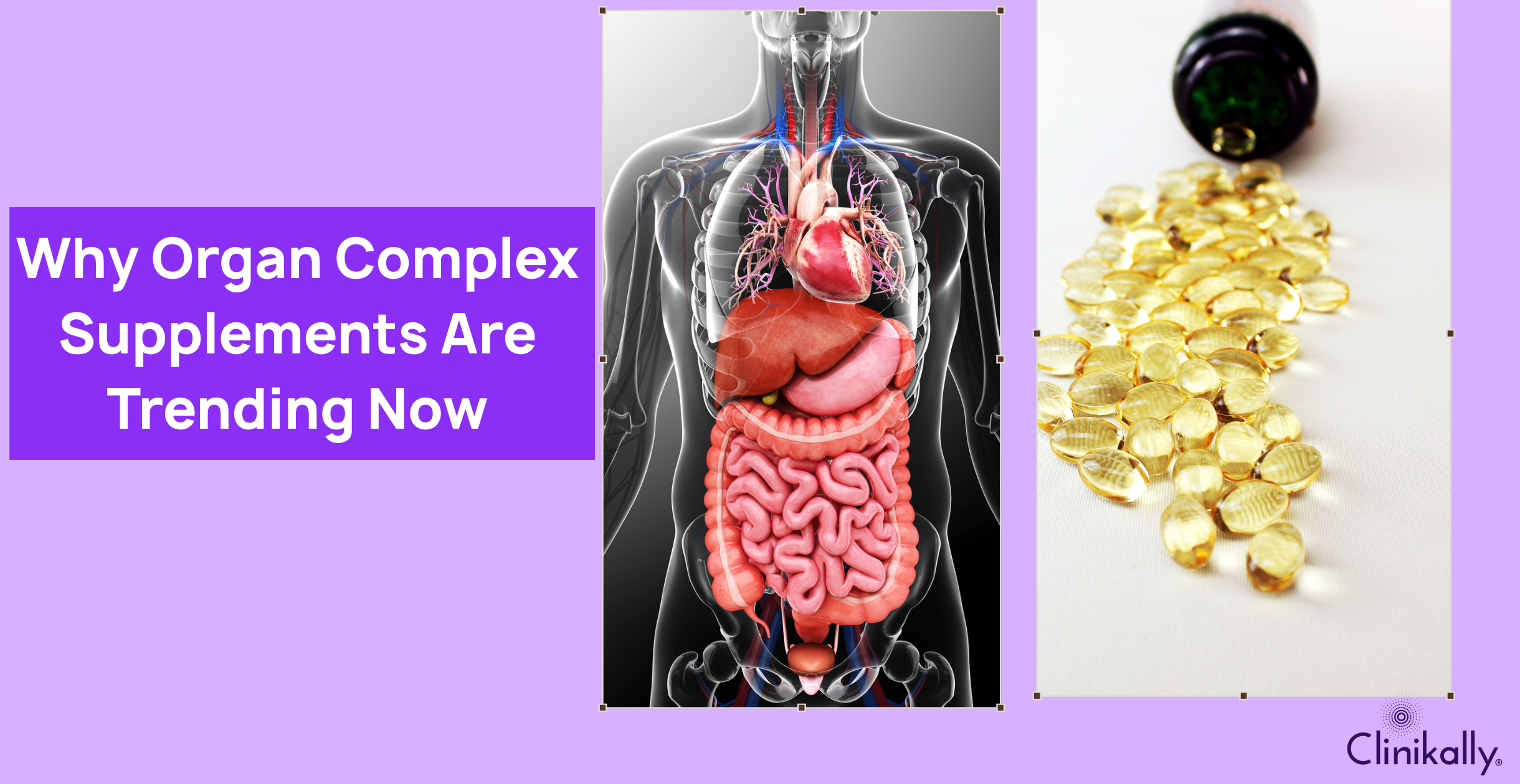Why Organ Complex Supplements Are Trending Now