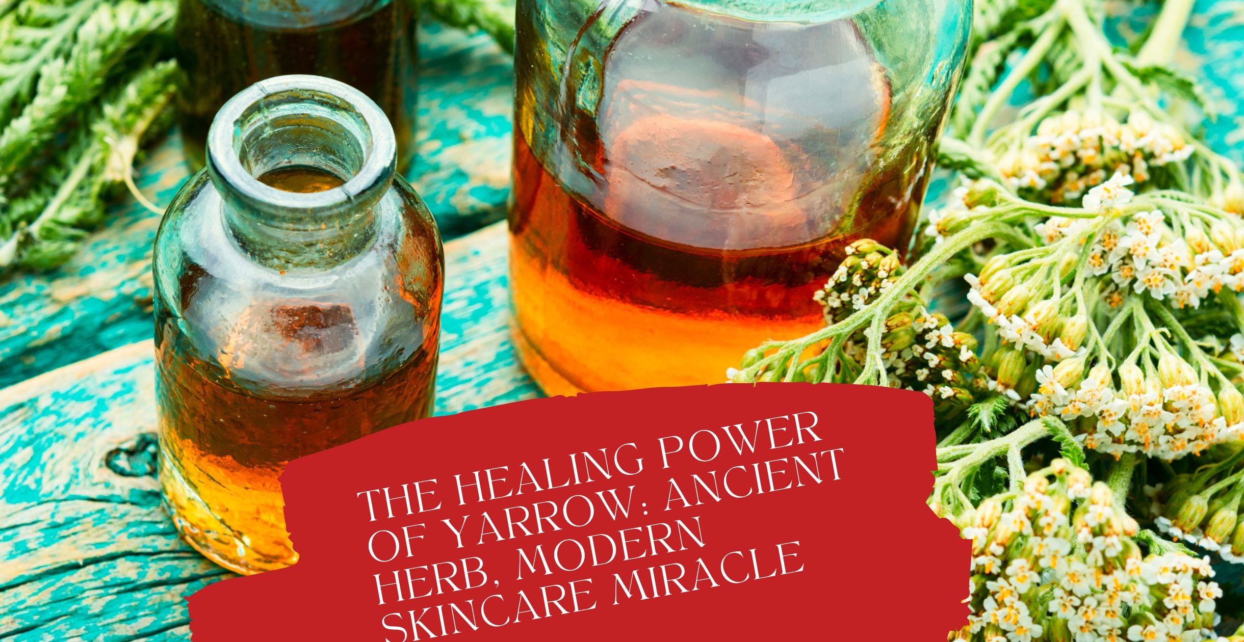 The Healing Power of Yarrow: Ancient Herb, Modern Skincare Miracle
