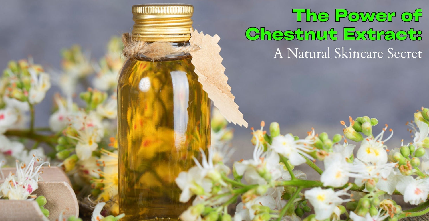 The Power of Chestnut Extract: A Natural Skincare Secret