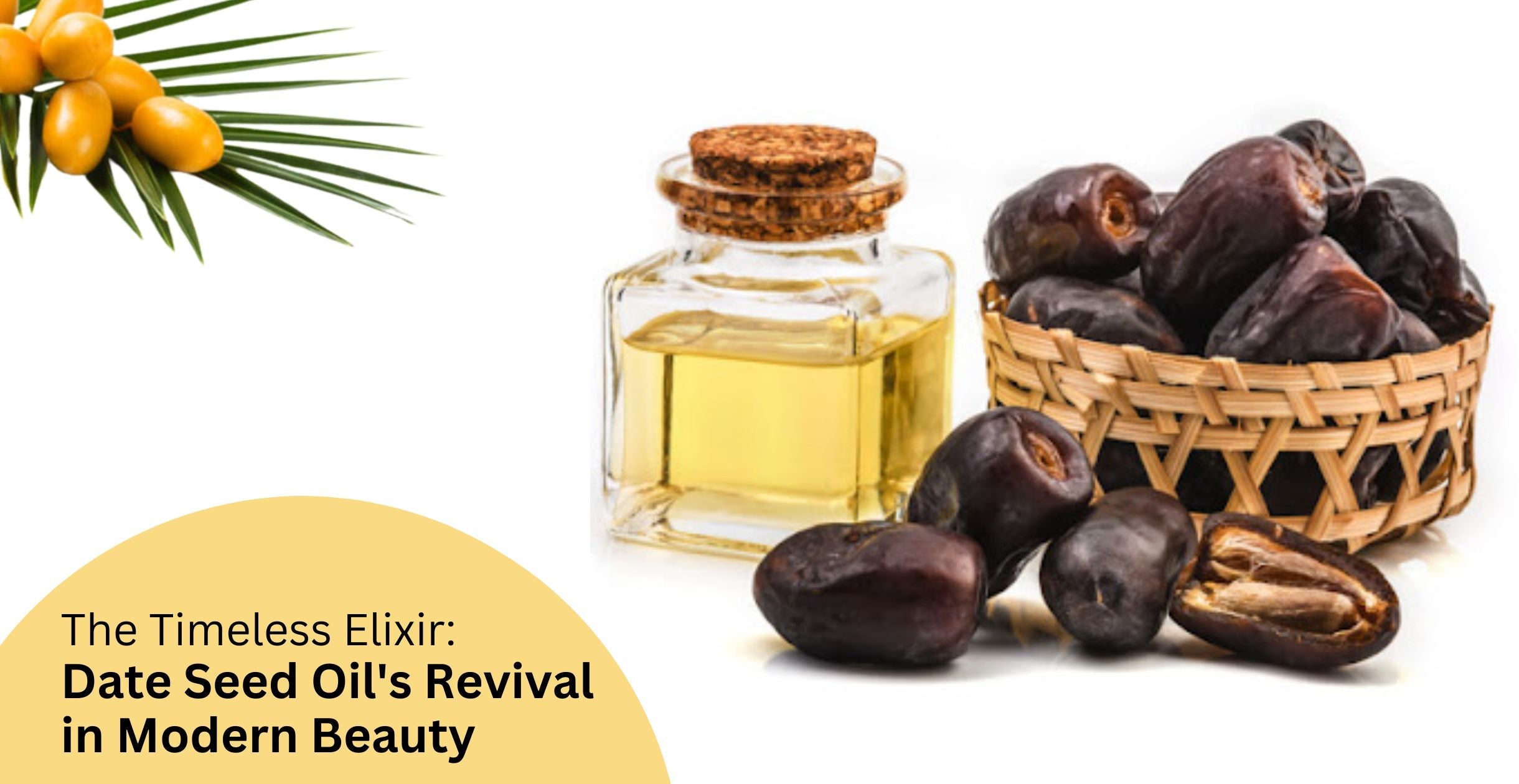 The Timeless Elixir: Date Seed Oil's Revival in Modern Beauty