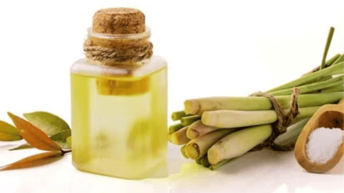 Citronella Oil Benefits for Skin, Hair, and Aromatherapy Clinikally