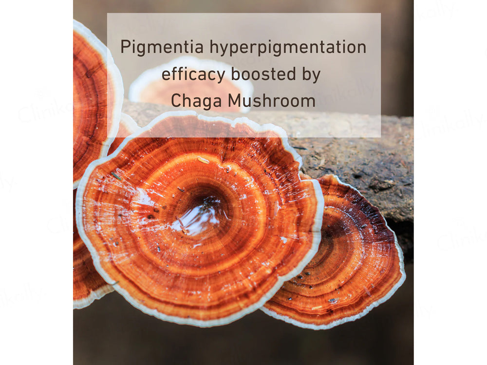 Bionnex Pigmentia Skin Tone Balancing Night Repair Serum