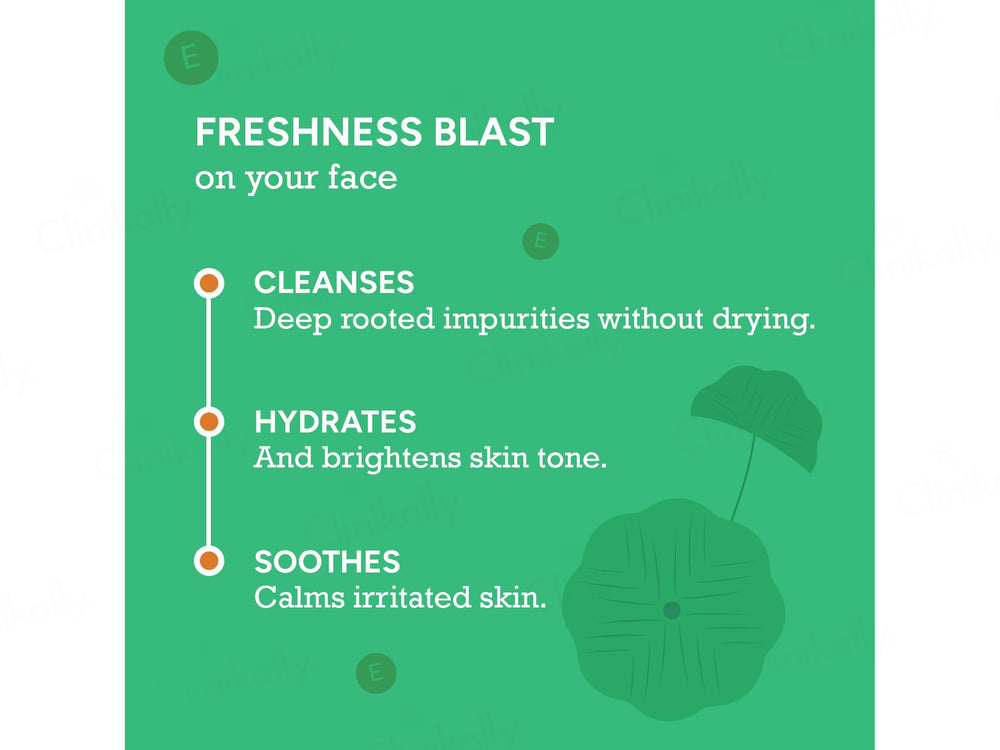 CITTA Cica Gentle Face Cleanser