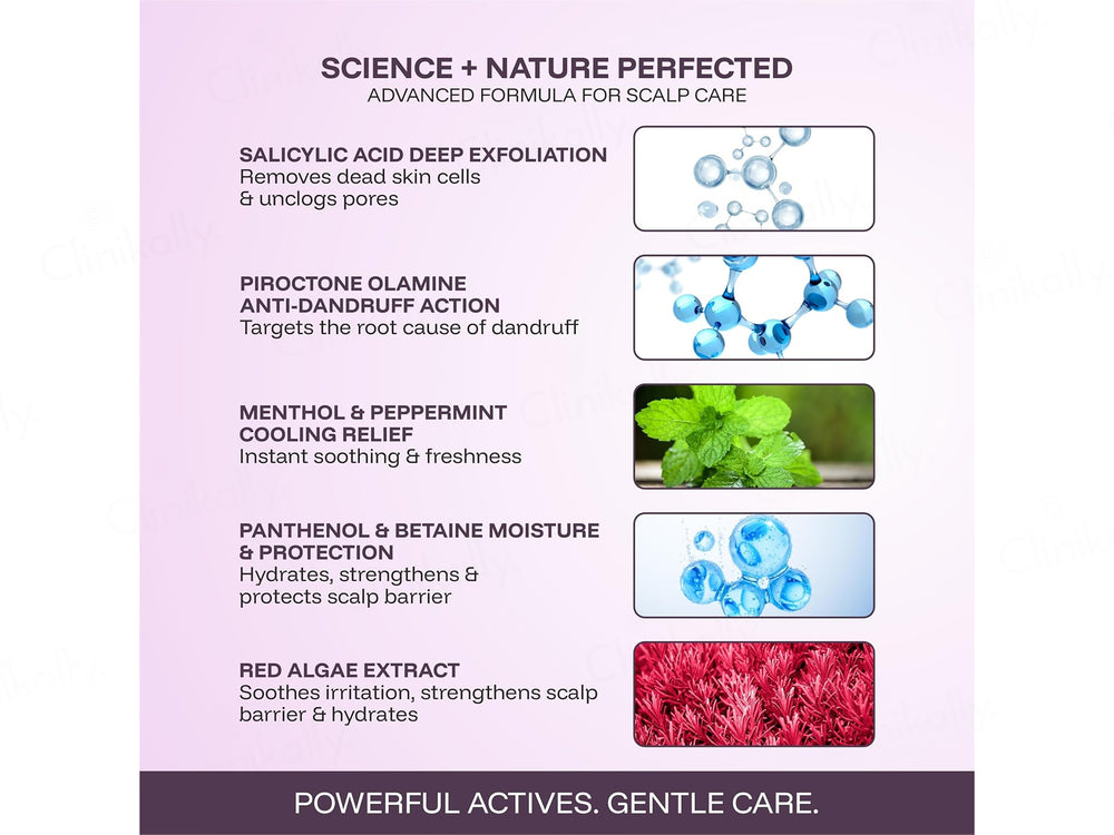 Cincinnus Red Algae Extract Anti Dandruff Shampoo