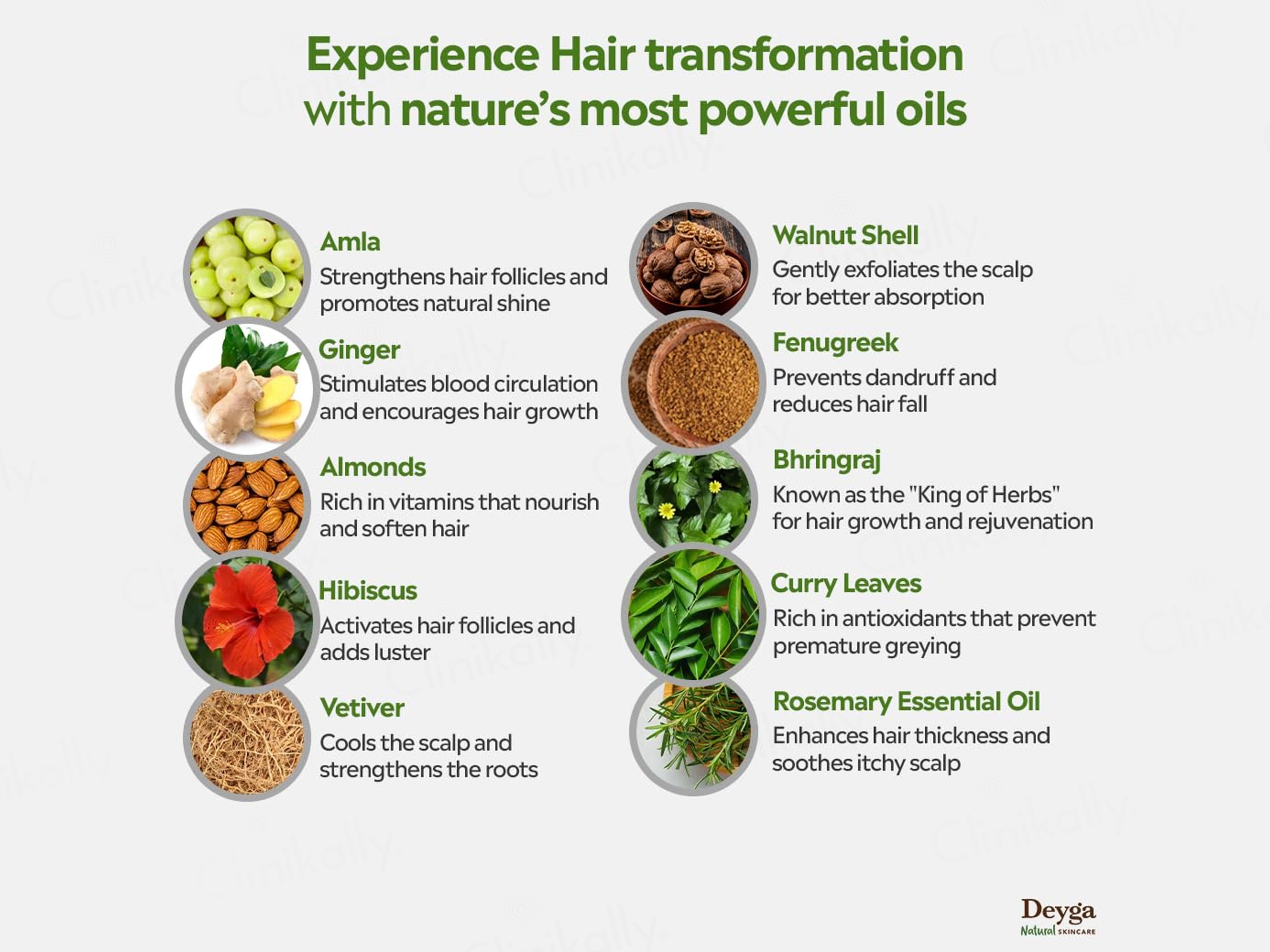Deyga Hair Growth Oil
