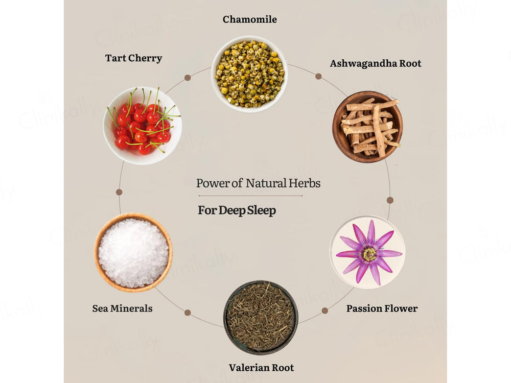Earthful Zen Mode Nutraceutical Veg Capsule
