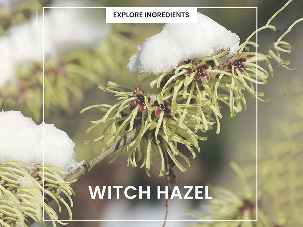 Heimish All Clean Green Foam Facial Cleanser