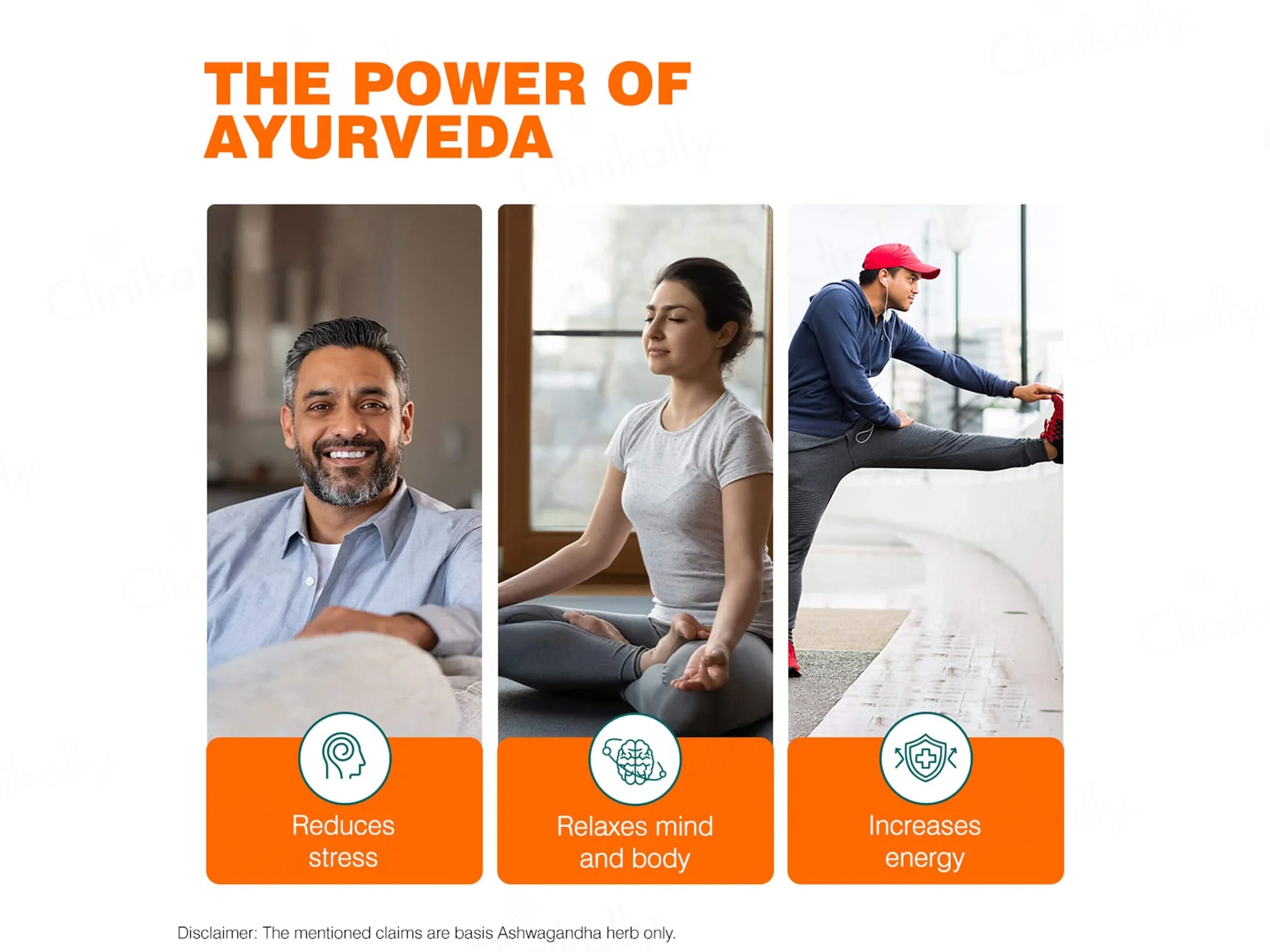 Himalaya Wellness Ashwagandha General Wellness Ayurvedic Tablet