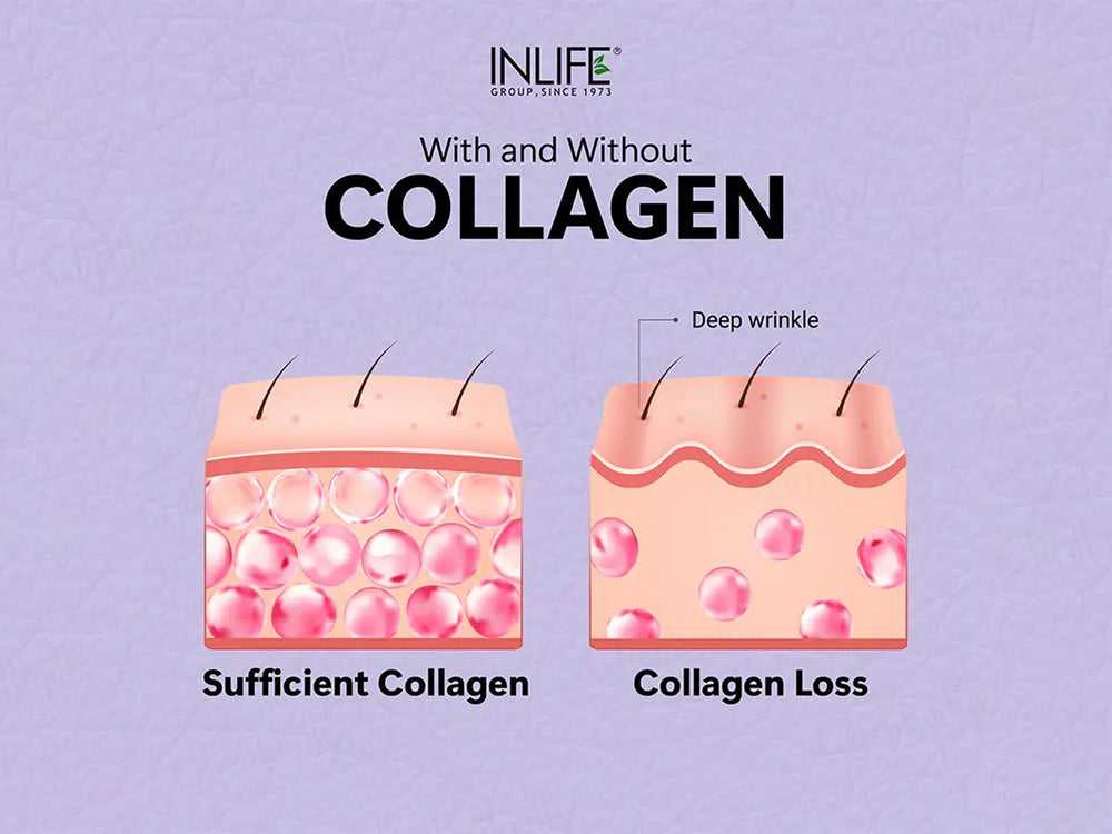 Inlife Japanese Hydrolyzed Type 1 & 3 Collagen Peptides Nutraceutical Powder