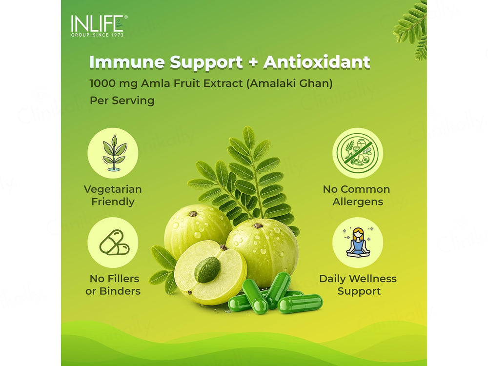 Inlife Natural Vitamin C Amlaki Ghan 1000mg Vegetarian Capsule