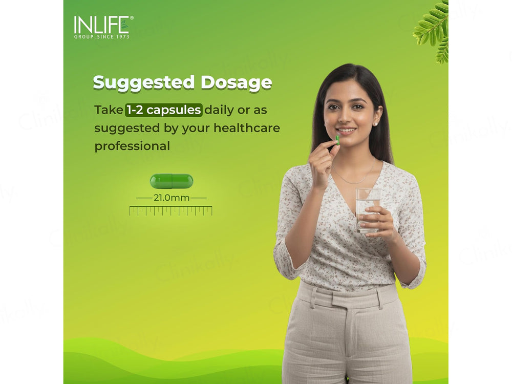 Inlife Natural Vitamin C Amlaki Ghan 1000mg Vegetarian Capsule