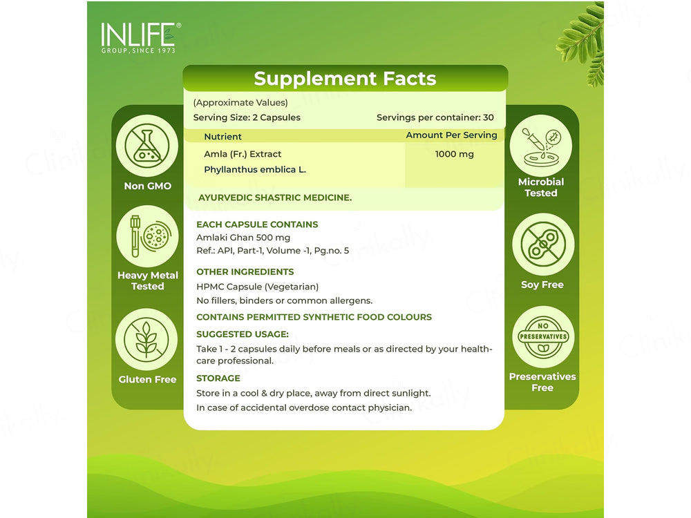Inlife Natural Vitamin C Amlaki Ghan 1000mg Vegetarian Capsule