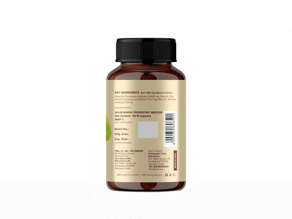 Jiva Ayurveda Giloy Immunity Enhancer Capsule