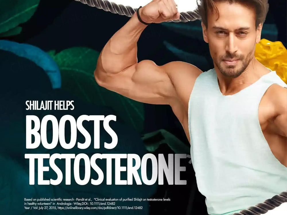 Kapiva Shilajit Gold Resin