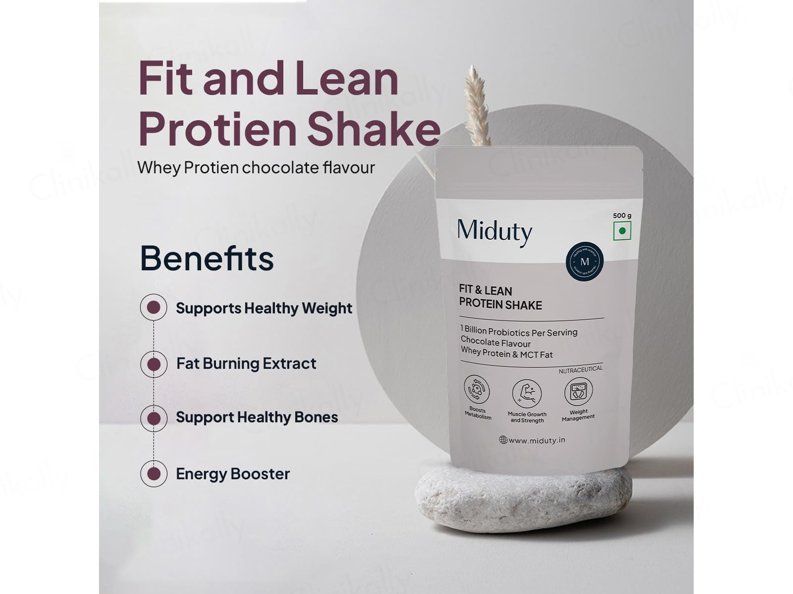 Miduty Fit & Lean Whey Protein Shake Nutraceutical Powder - Chocolate Flavour