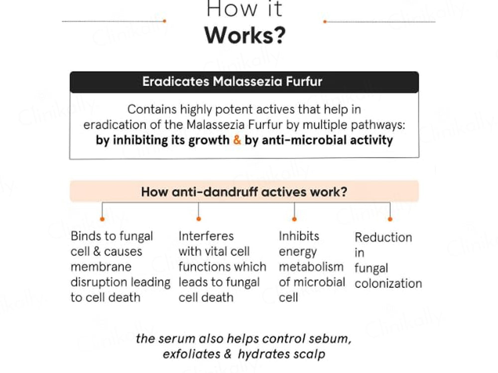 Minimalist 0.8% CPH Complex + Oligopeptide Anti-Dandruff Serum