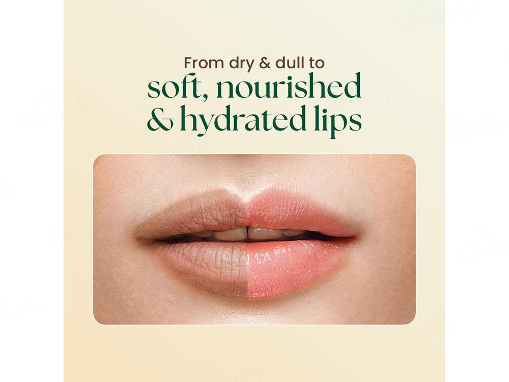 Moha: Nourishing & Hydrating Lip Butter