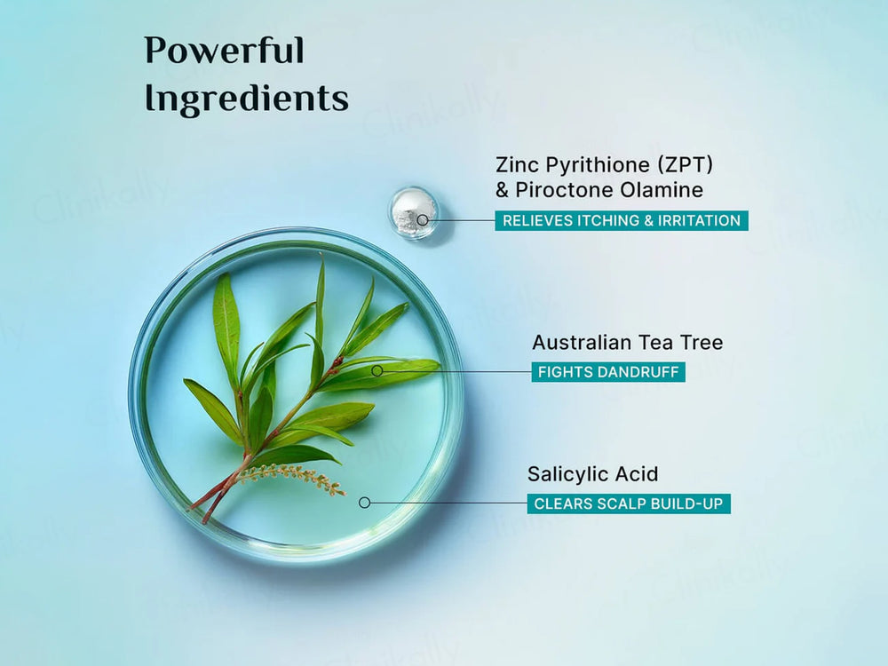 Pilgrim Australian Tea Tree & Salicylic Acid Non-Drying Anti-Dandruff Shampoo