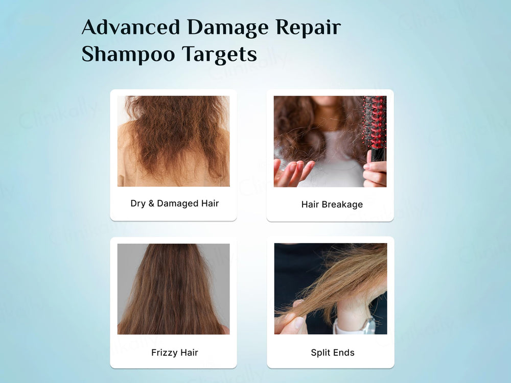 Pilgrim Korean Rice Water & Collagen Advanced Damaged Repair Shampoo