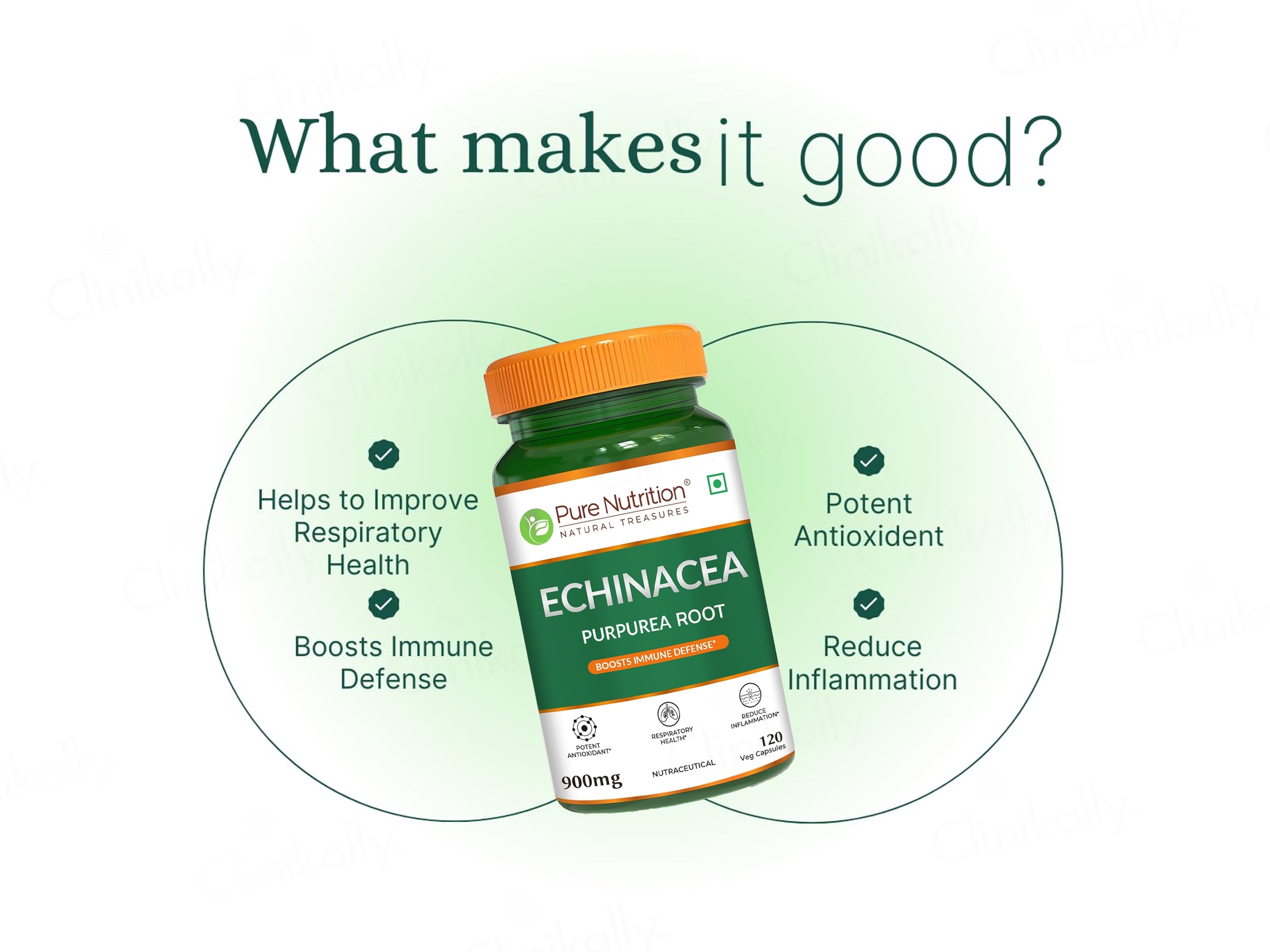 Pure Nutrition Echinacea Purpurea Root Extract 900mg Veg Capsule