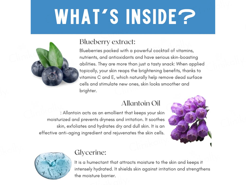 Skin Secrets Blueberry Age Refresh Purifying Skin Care Facial Kit