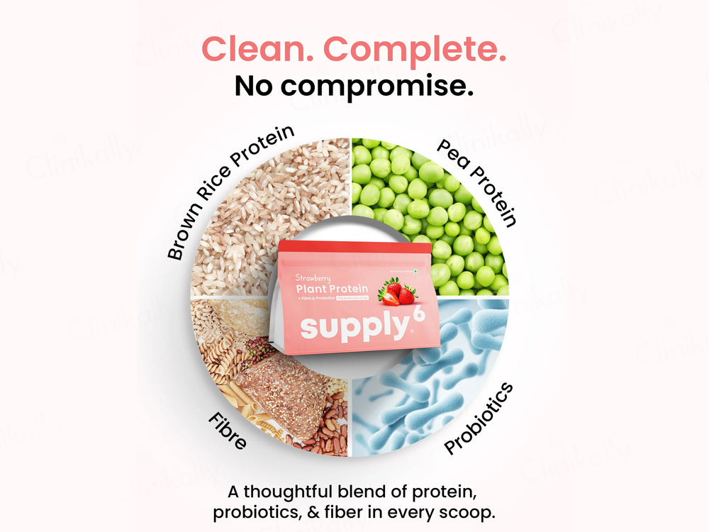 Supply6 Fiber & Probiotics Plant Protein Powder