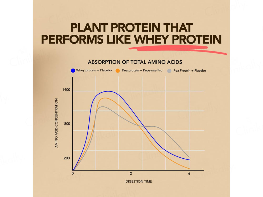 The Basics Woman Hello, Marshmallow Daily Scoop Plant Protein Powder