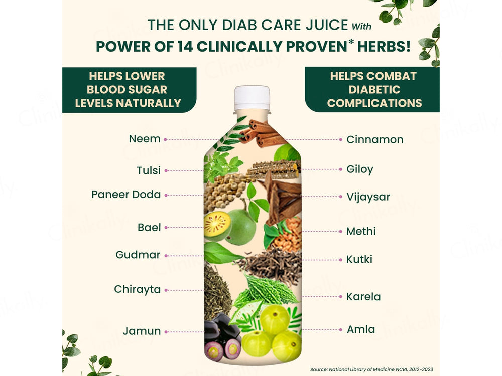 Vansaar 45+ Diabetic Care Diab Balance Supplement Juice