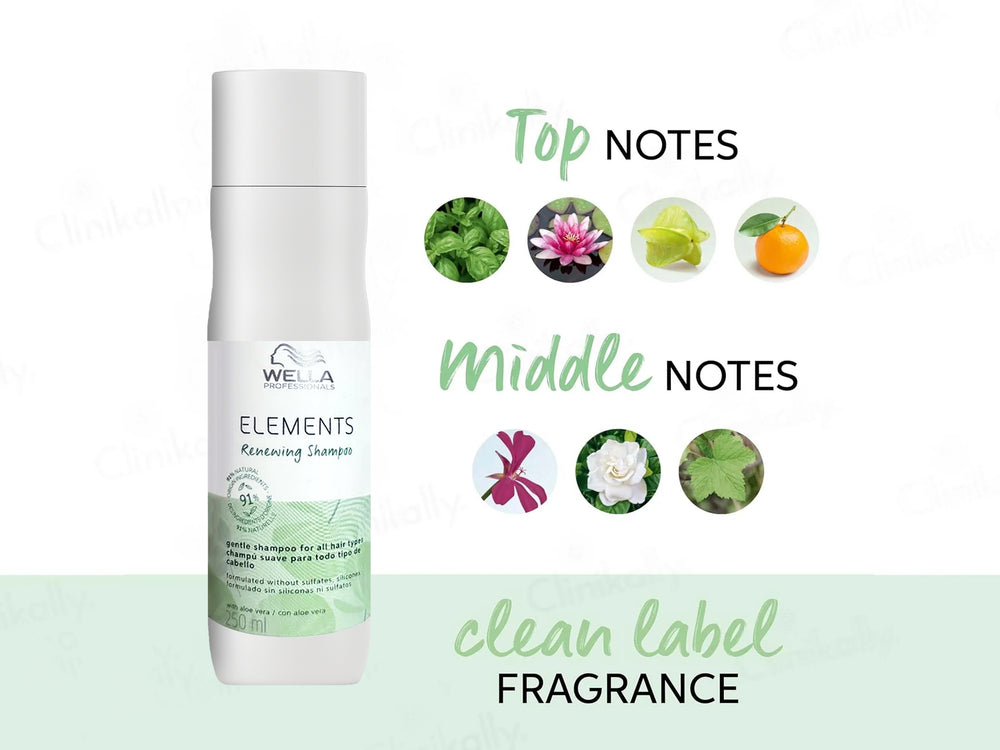 Wella Professionals Elements Renewing Gentle Shampoo