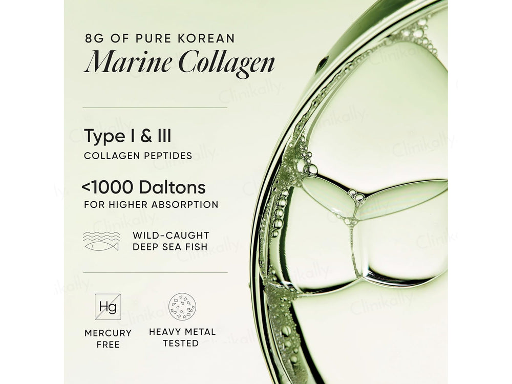 Wellbeing Nutrition Matcha Korean Marine Collagen Powder