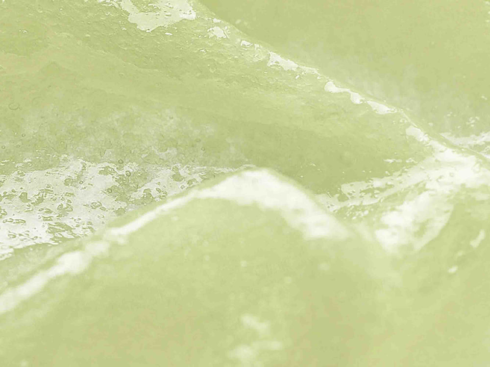 Beauty of Joseon Ginseng Moist Sun Serum SPF 50+ PA++++