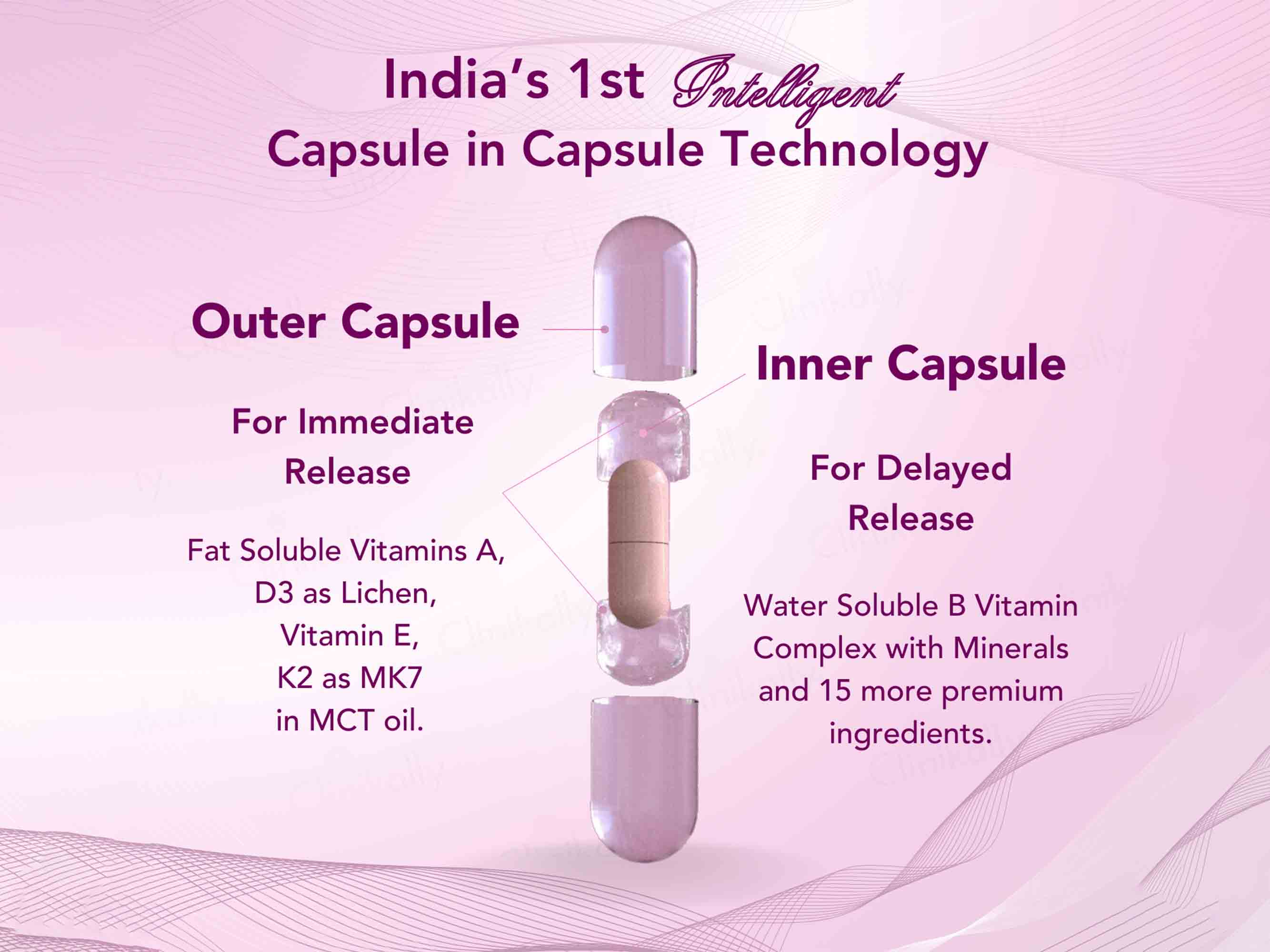WishNew Wellness Daily Ritual Multivitamin Capsule For Women 18+