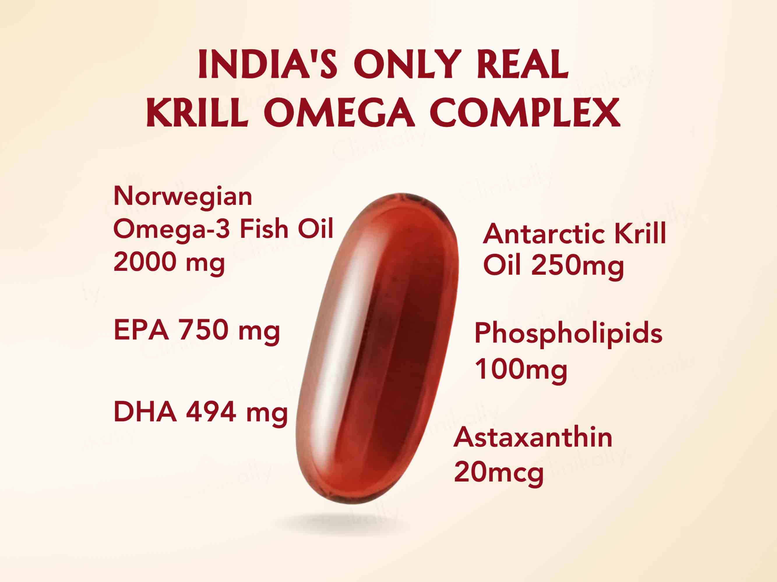 WishNew Wellness Krill Omega Complex Heart & Brain Health Softgel Capsule